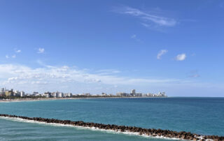 10 Best Places to Stay in Miami Beach Pre-Cruise