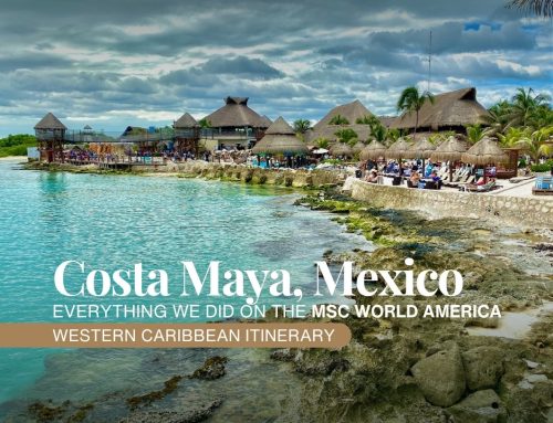 Day 4: MSC World America: Costa Maya Cruise Port