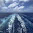 MSC World America At Sea