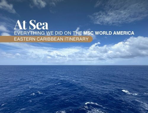 Day 6: MSC World America Sea Day: What 8900 People Look Like Aboard a Cruise Ship