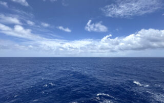 MSC World America what to do on sea days