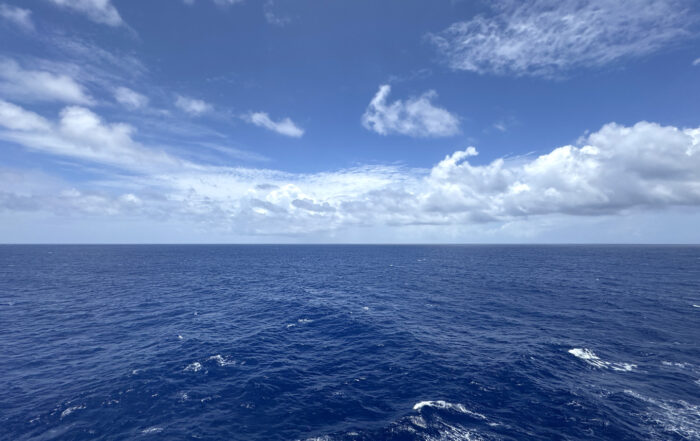 MSC World America what to do on sea days