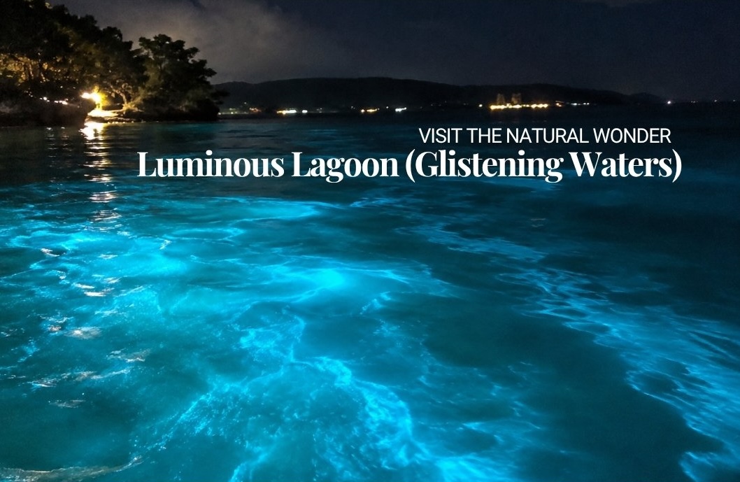 Royalton Blue Waters Jamaica Review
