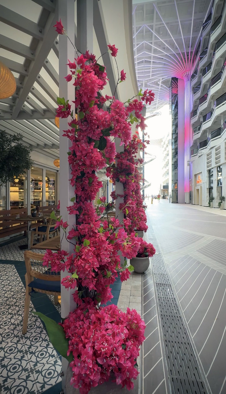 MSC WORLD AMERICA PAXOS